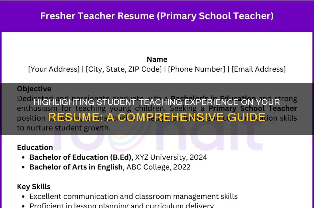 how to put student teaching experience on resume