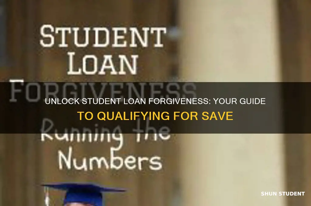 how to qualify for save student loan forgiveness