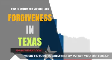 Texas Student Loan Forgiveness: Eligibility and Application Guide
