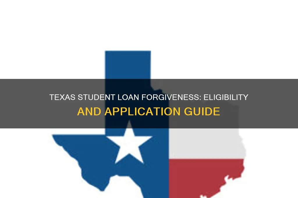 how to qualify for student loan forgiveness in texas