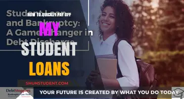 Strategies to Rapidly Repay Student Loans