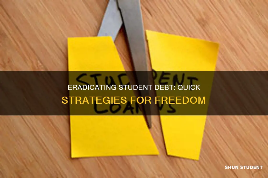 how to quickly pay off student load