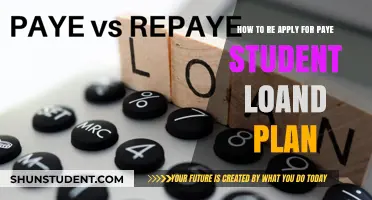 Navigating PAYE Student Loan Re-Application