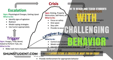 Strategies for Engaging and Supporting Students with Challenging Behavior