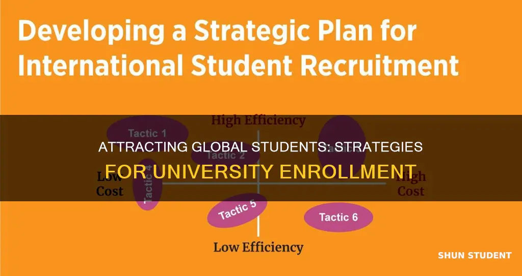 how to recruit international students for university