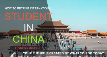 Recruiting Chinese Students: Strategies for Success