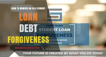 Erasing Old Student Loan Debt: A Guide to Forgiveness Removal