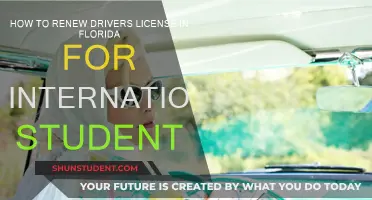Renewing Your Florida Driver's License as an International Student