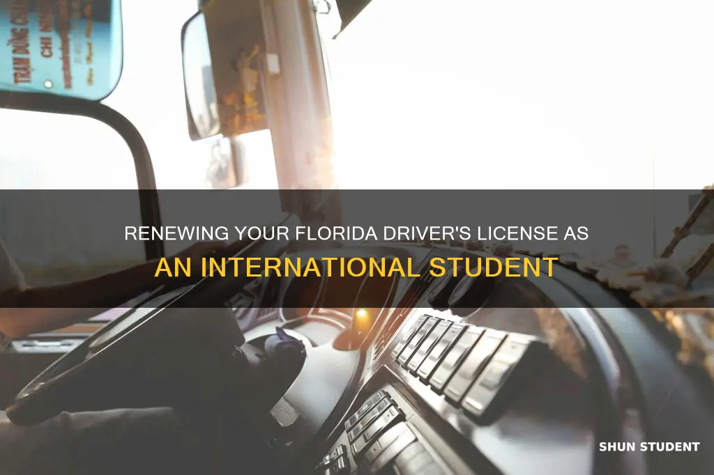 how to renew drivers license in florida for international student