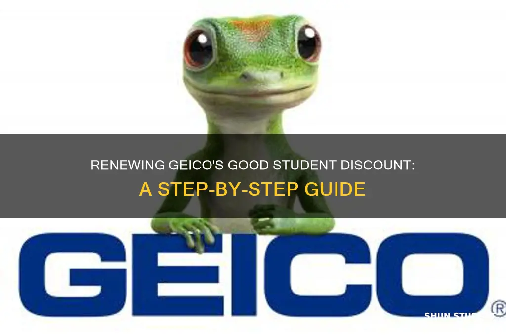 how to renew good student discount geico