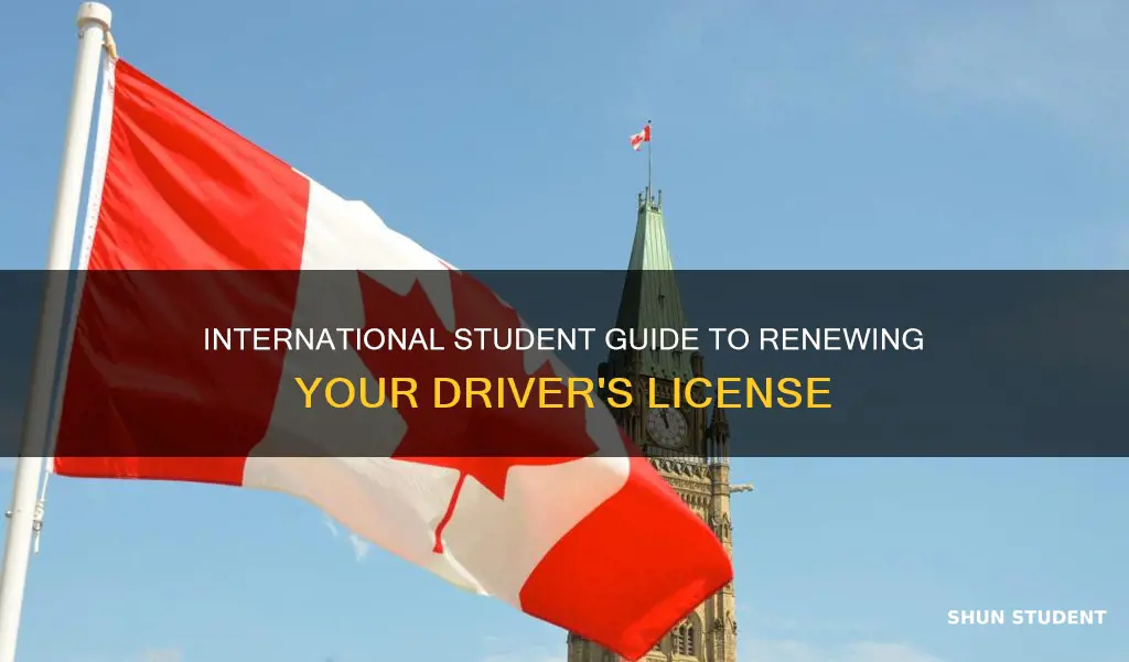 how to renew my drivrers lincence as an international student