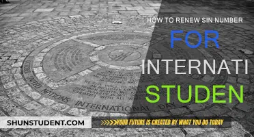 International Students: Renewing Your SIN Easily