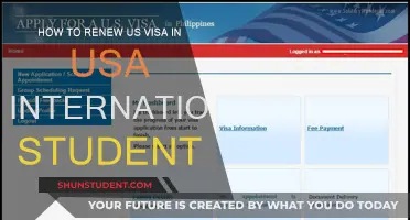Renewing US Visas: A Guide for International Students