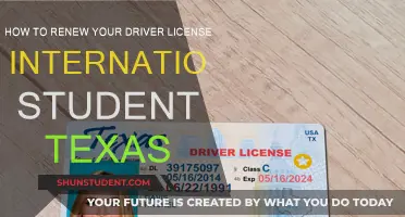International Student Guide: Renewing Your Texas Driver's License