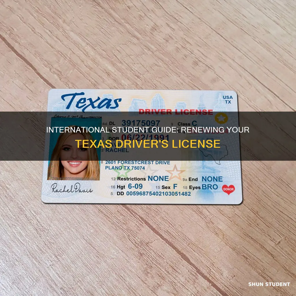 how to renew your driver license international student texas