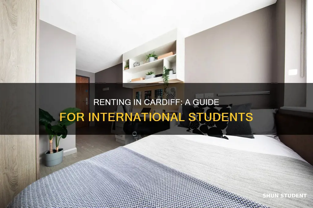 how to rent as a international student in cardiff