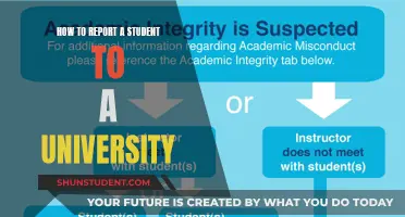 Reporting a Student: A Guide to University's Formal Process