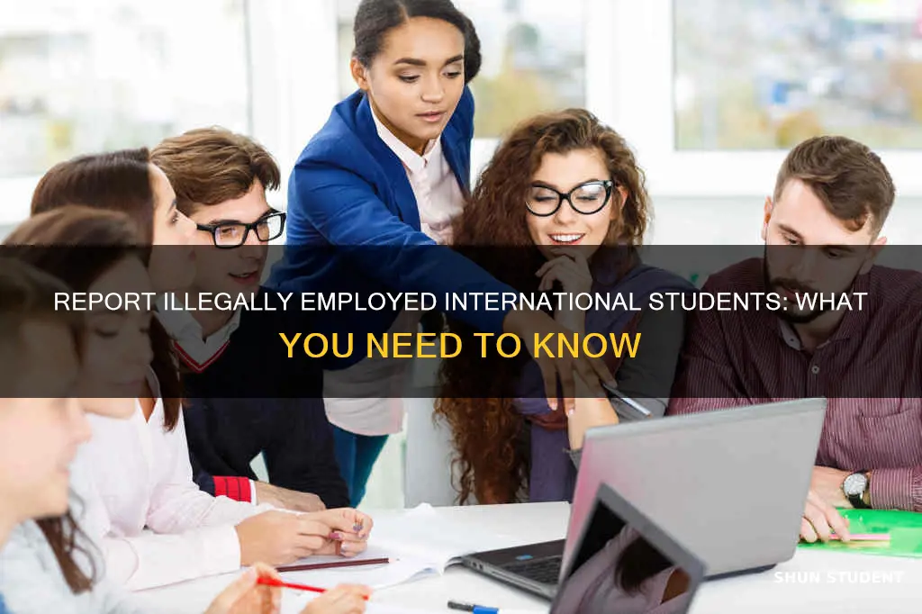 how to report an international student working illegally