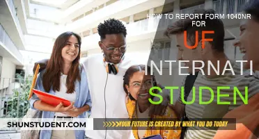 Reporting Form 1040NR: A Guide for UF International Students