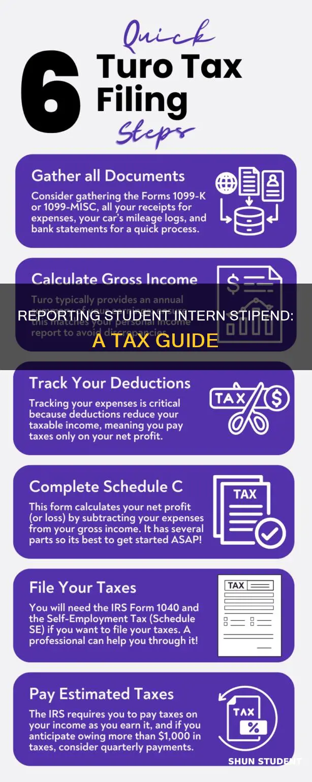 how to report student intern stipend on taxes