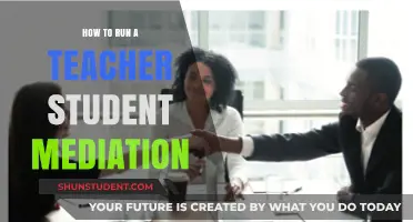 Effective Teacher-Student Mediation: Strategies for Resolving Classroom Conflicts