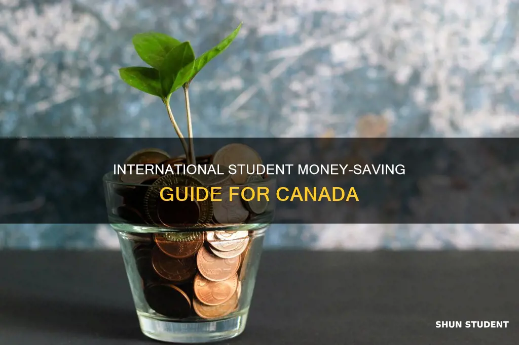 how to save money as an international student in canada