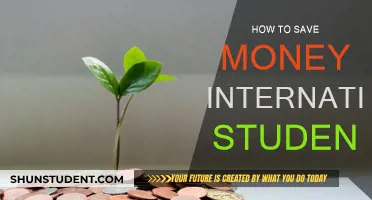 International Students: Save Money, Stress-Free