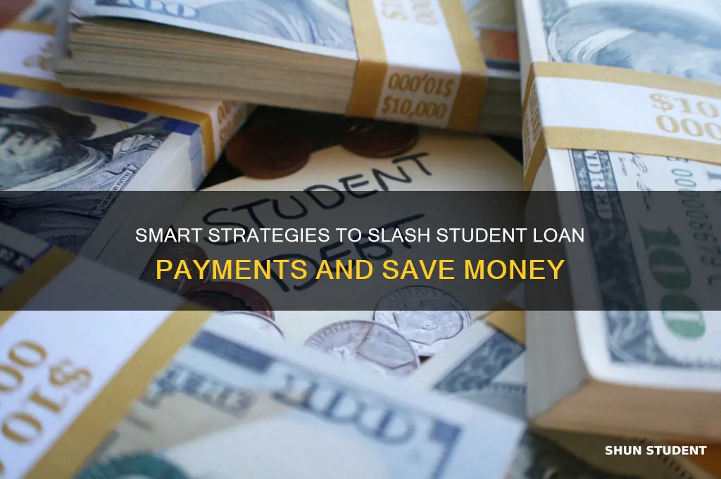 how to save money paying back student loans