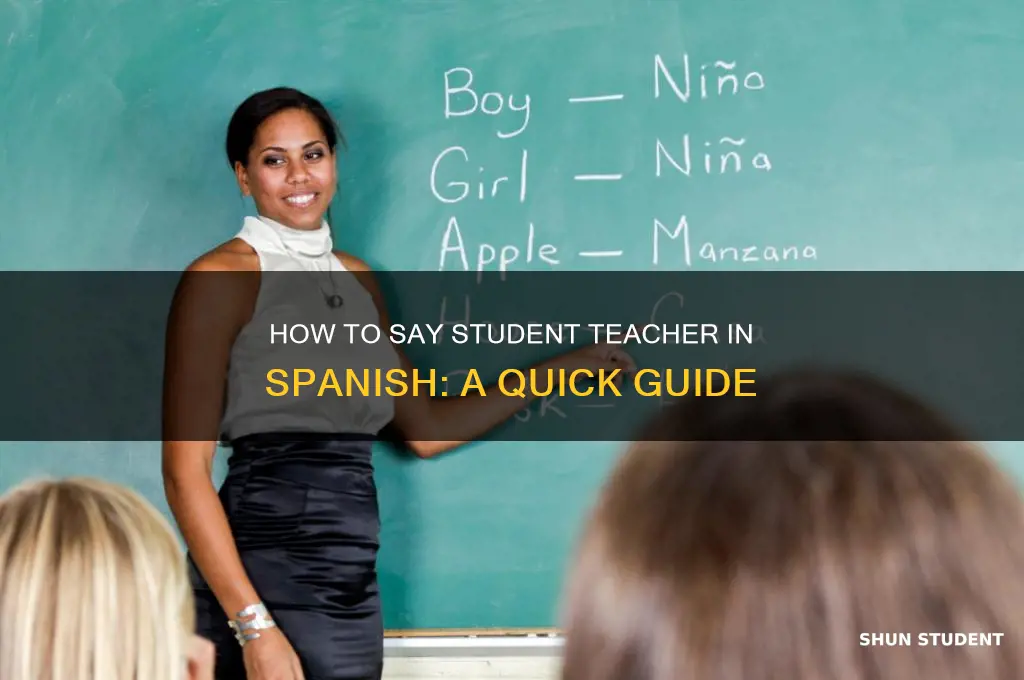 how to say student teacher in spanisih