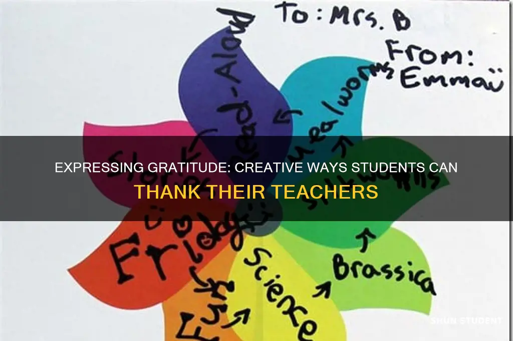how to say thank you to teacher from students