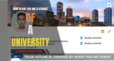 Unveiling the Student Identity: Crafting Your University Story