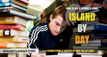 Exploring the Daily Study Habits of Students on Their Learning Journey