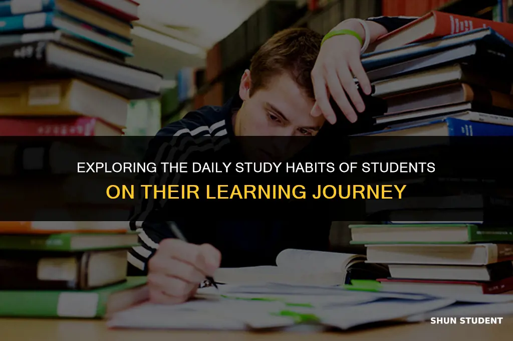 how to see a students study island by day