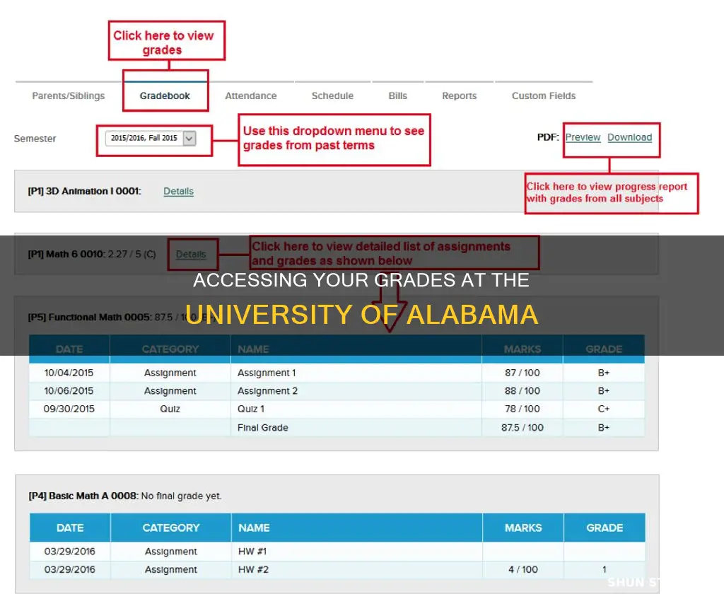 how to see student grades at university of alabama