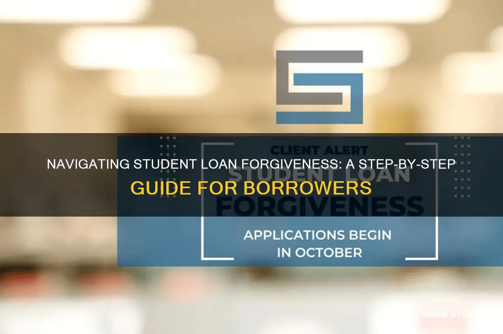 how to see student loan forgiveness