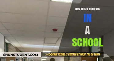 Exploring School Halls: A Guide to Student Visibility