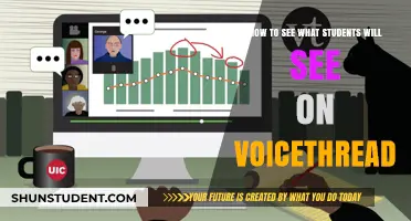 Viewing Student Perspective: A Guide to Voicethread's Student Experience