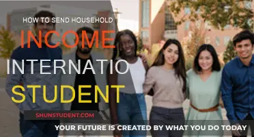 Sending Money Home: A Guide for International Students