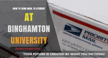 Mailing to Binghamton University Students: A Guide