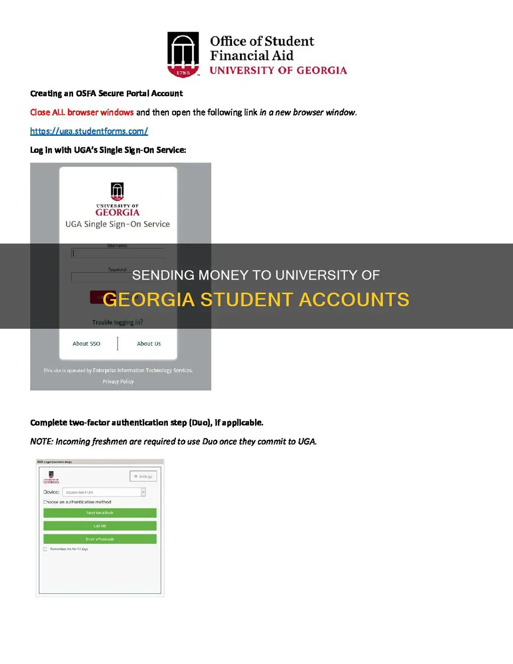 how to send money to university of georgia student accounts