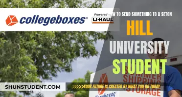 Send Packages to Seton Hill: A Student's Guide to Shipping