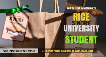 Mailing to Rice University Students: A Guide