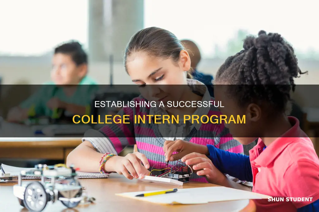 how to set up an intern program with college students