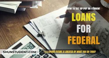Master Federal Student Loan Payments: A Step-by-Step Setup Guide