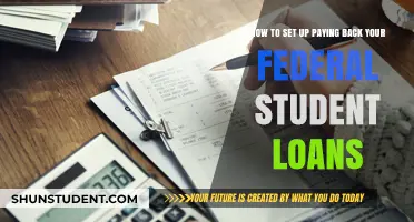 Mastering Federal Student Loan Repayment: A Step-by-Step Setup Guide
