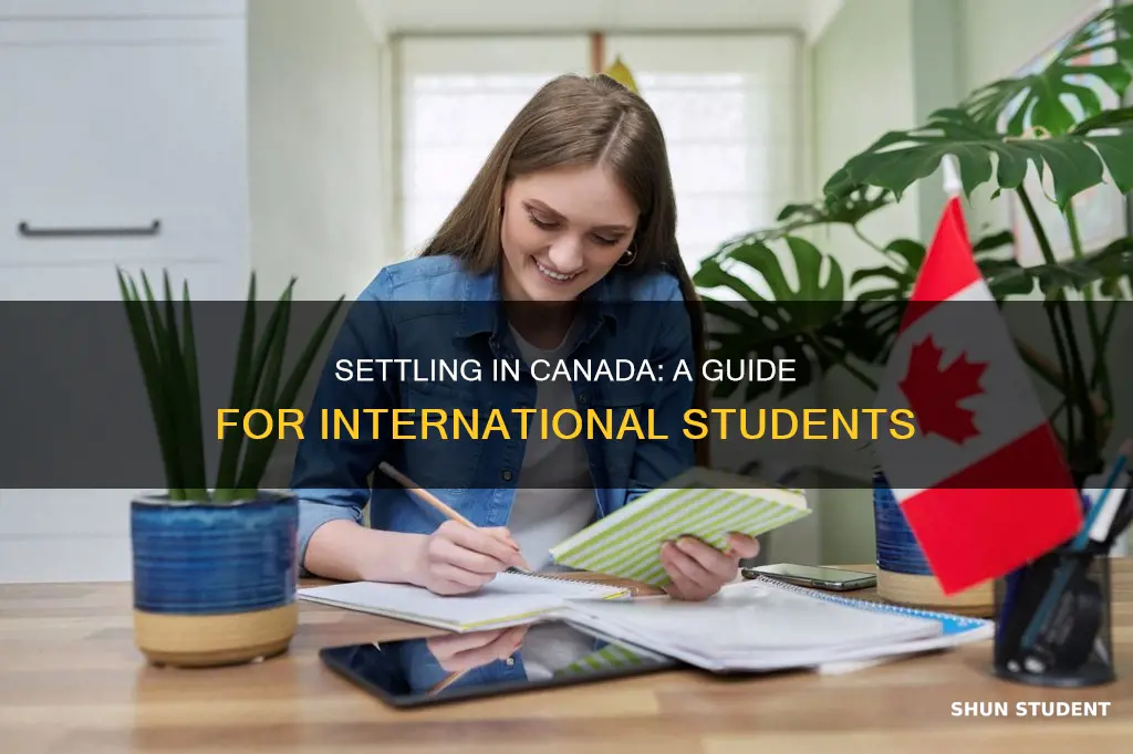 how to settle in canada as an international student