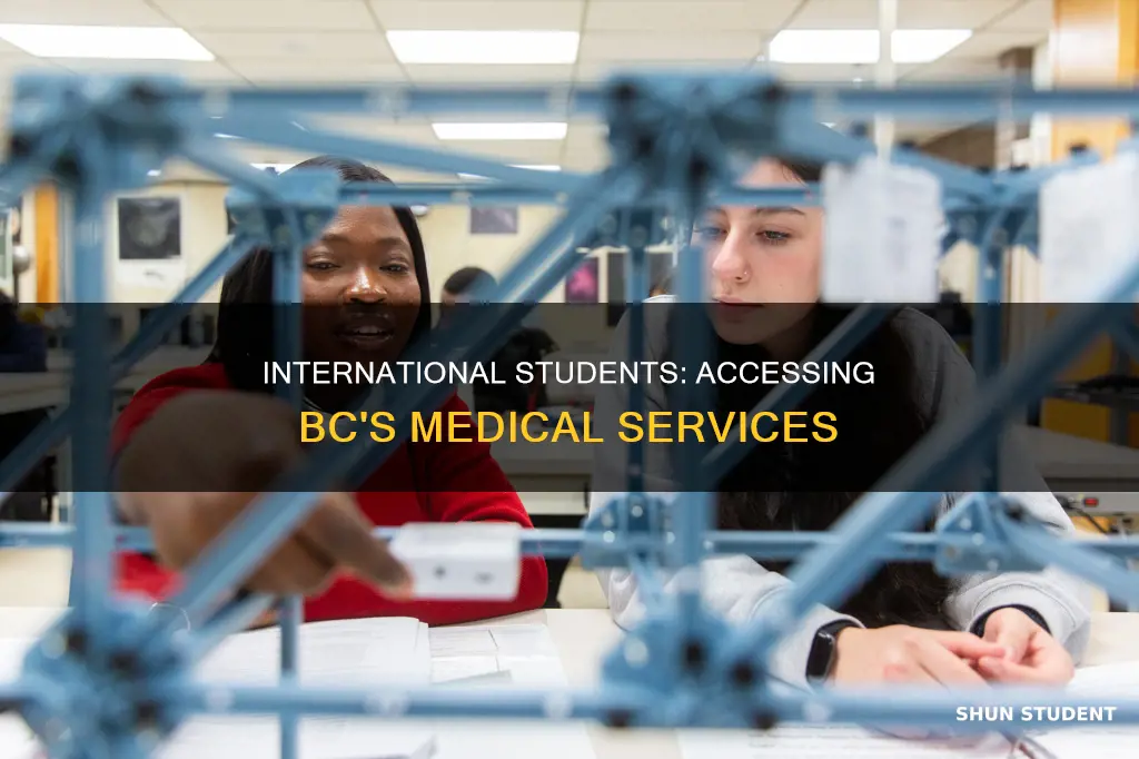 how to signup for medical for international students in bc