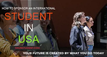 Sponsoring an International Student: A Guide to US Visas