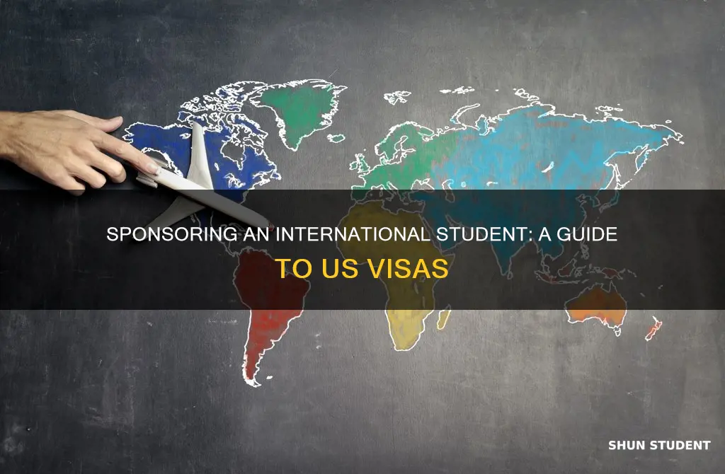 how to sponsor an international student in usa