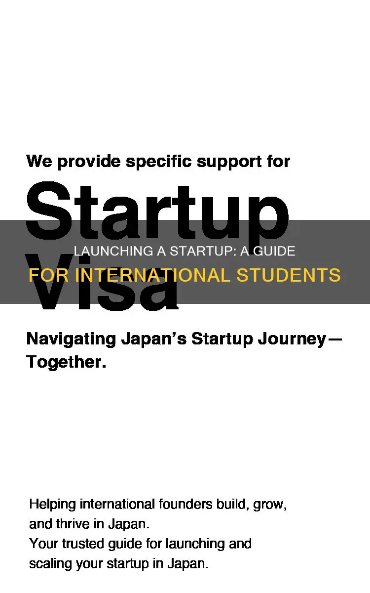 how to start a startup as international student
